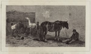 For Sale by Briton Riviere